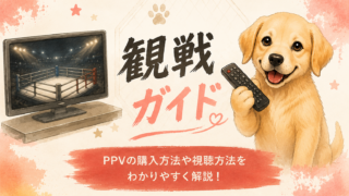 観戦ガイド